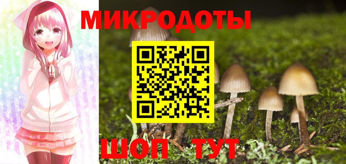 Галлюциногенные грибы ЛСД Славгород