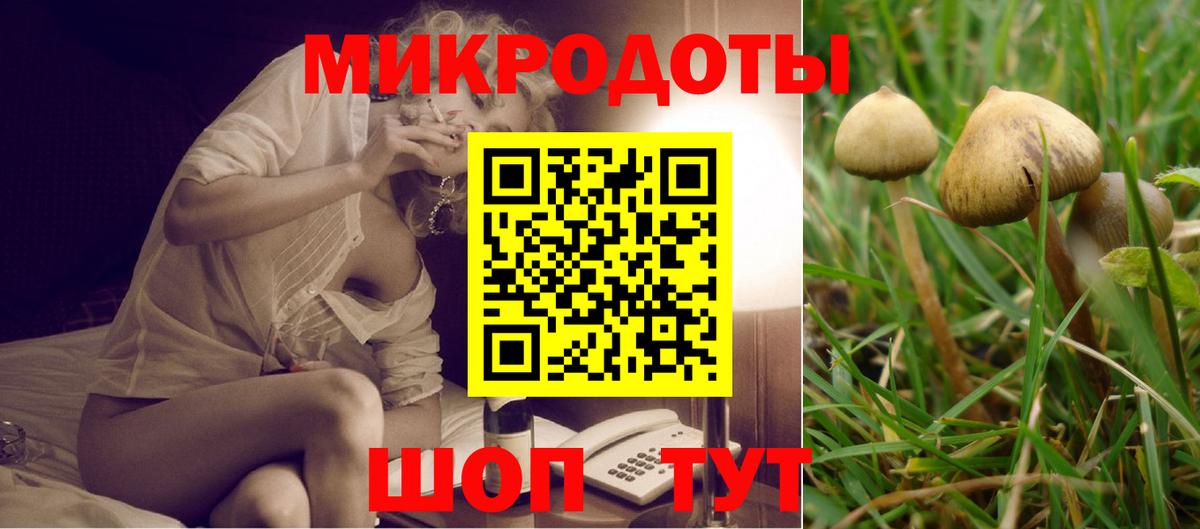 Славгород  Псилоцибиновые грибы GOLDEN TEACHER  Вход с VPN 